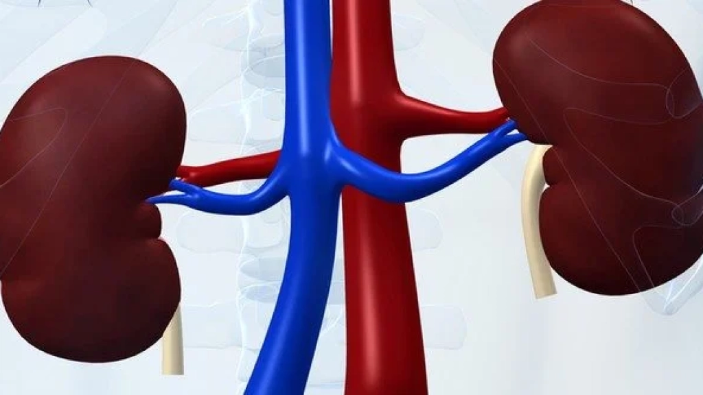 AKUT BÖBREK YETMEZLİĞİ