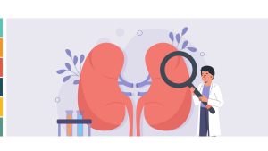 SON DÖNEM BÖBREK YETERSİZLİĞİNDE TEDAVİ SEÇENEKLERİ